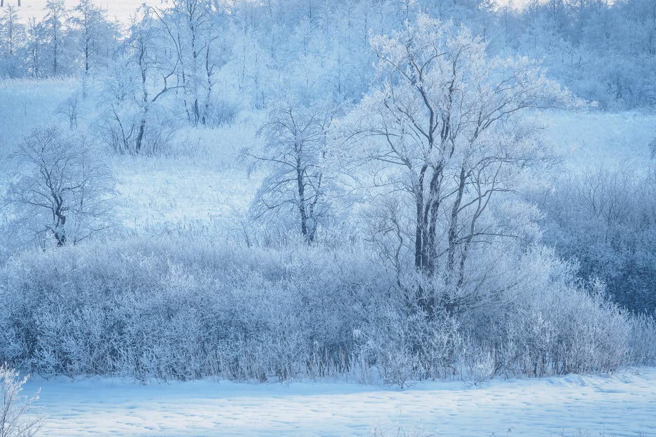 FORTI GELATE dopo la NEVE. Meteo rigido e GHIACCIO anche prossima settimana