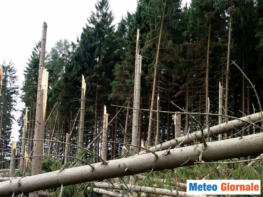 Meteo Lombardia: eccezionale tempesta di vento, danni e feriti