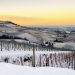 Neve marzolina