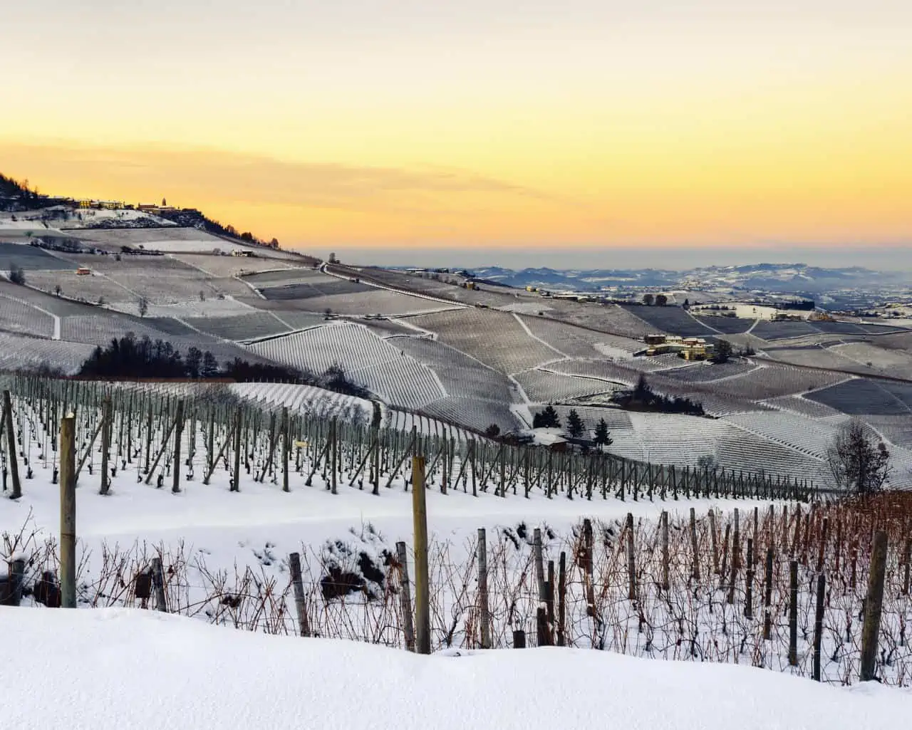 Neve marzolina