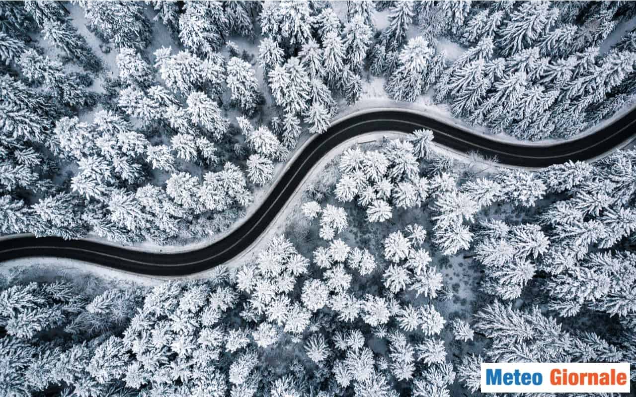 Le foreste più fredde della Terra si stanno spostando