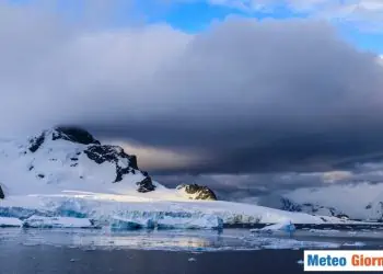 Antartico.