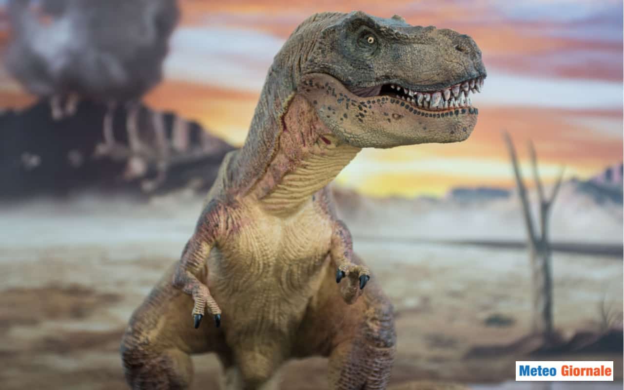 Il terribile Tirannosauro Rex aveva le braccia corte. Nuova teoria