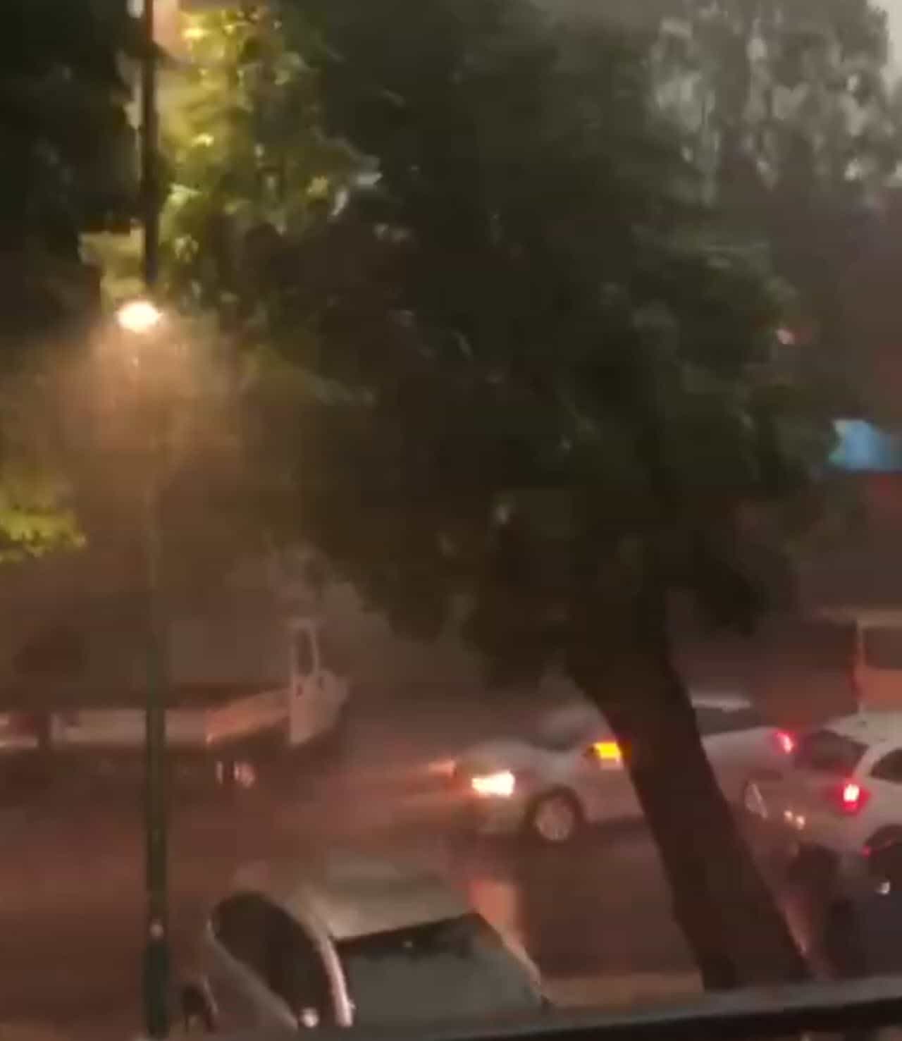 Cremona danni ingentissimi per il vento. Albero cade su un’auto. Video Meteo