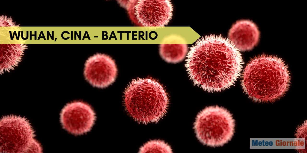 Wuhan in Cina, nuova emergenza, ma per un batterio