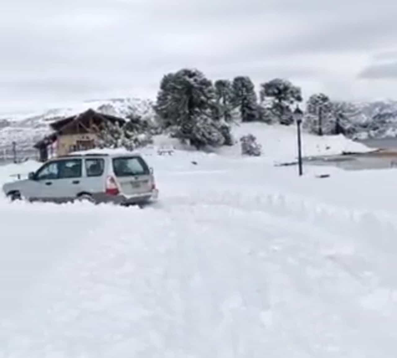 Argentina tempeste di neve. Video Meteo