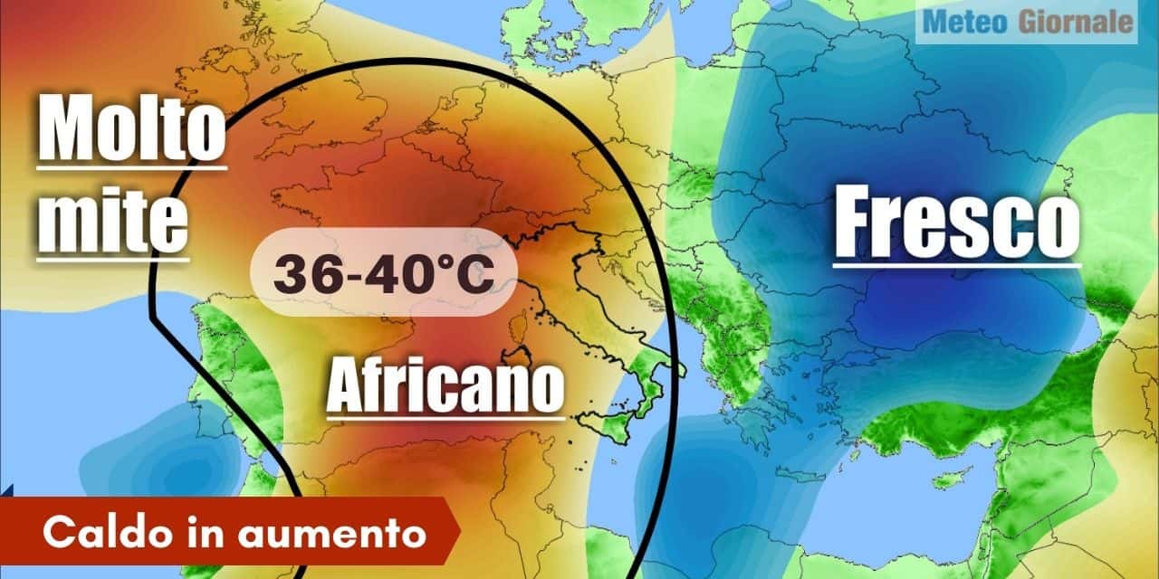 caldo africano 8552