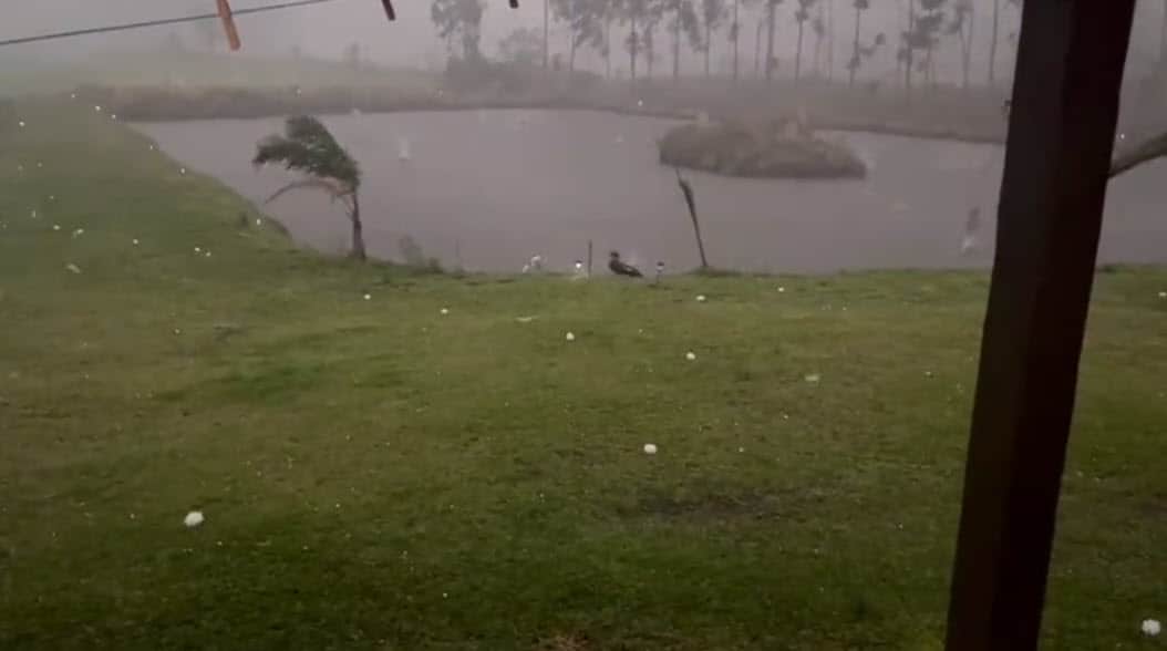 Grandinata in Brasile. Uccisi numerosi animali. Video meteo