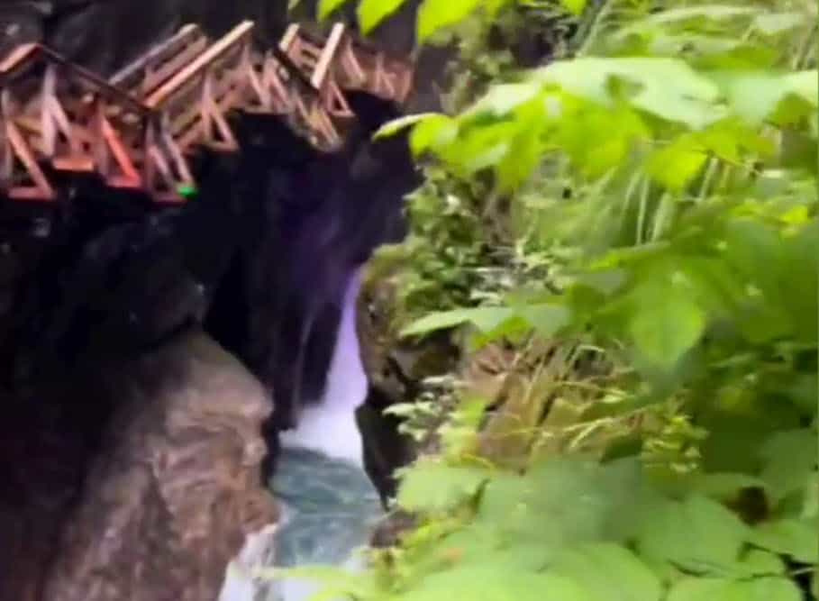 Rocce, verde e acqua, tra Italia e Austria. Video natura