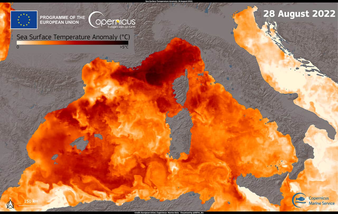 Ondata di calore marino persistente. Immagine inedita