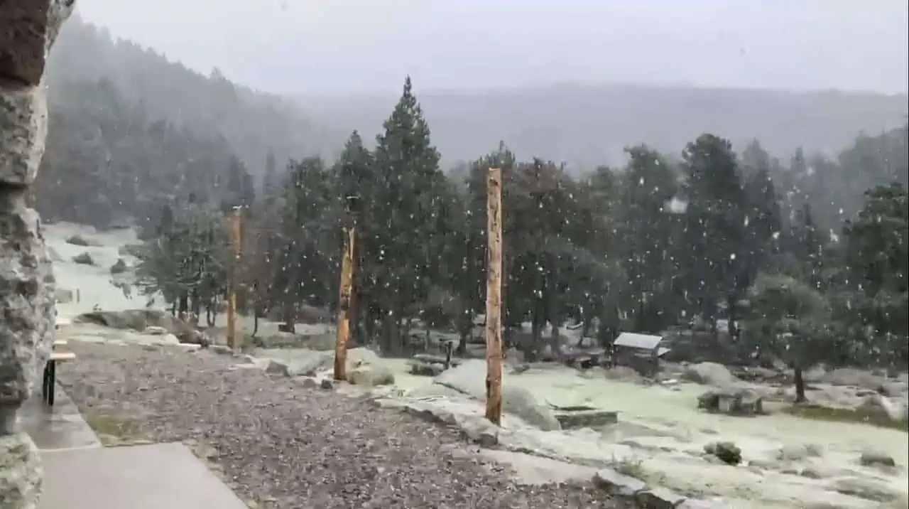 Nevica! Ha aperto ufficialmente la stagione invernale. Video dal Refugi Malniu