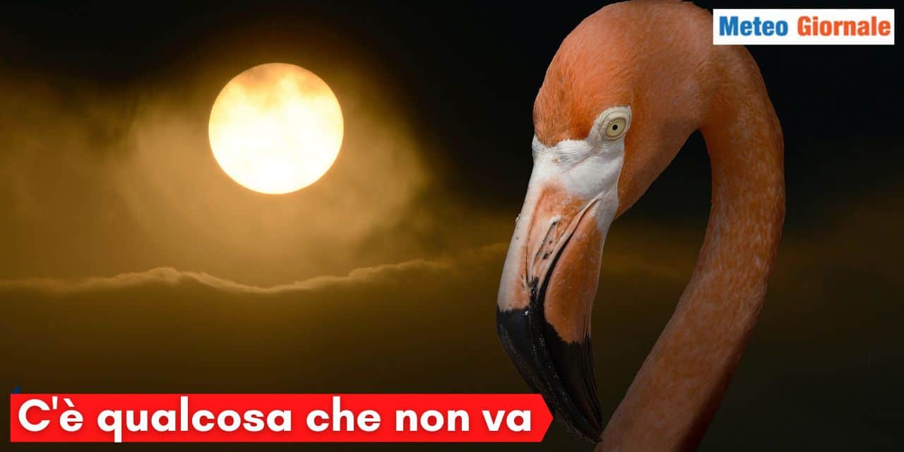 evoluzione meteo 126516545