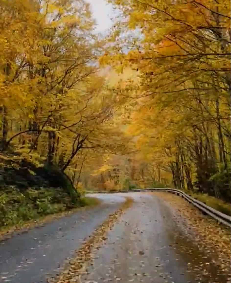 Foliage percorrendo le strade di Haywood County, NC. Video