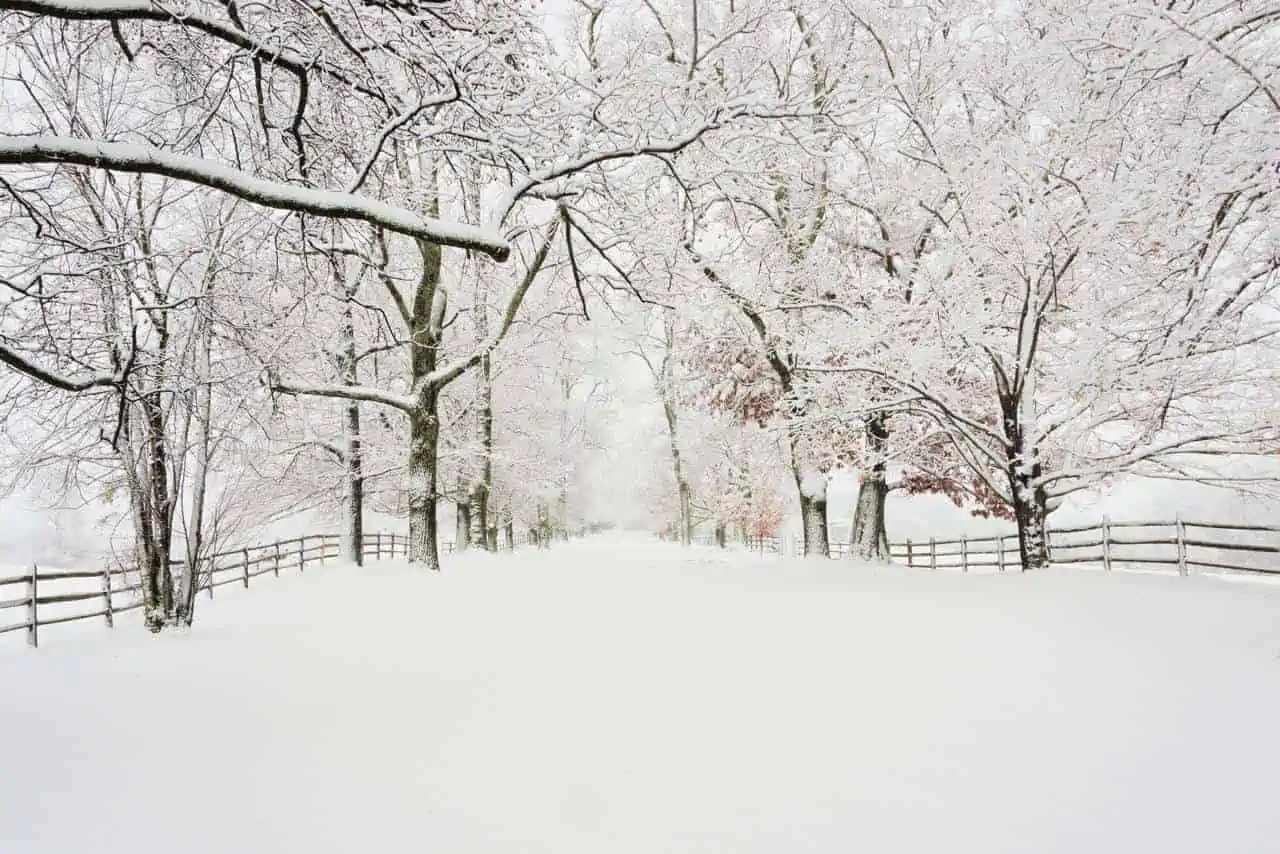 Pochi i casi di neve in pianura ad ottobre, anche nel lontano passato