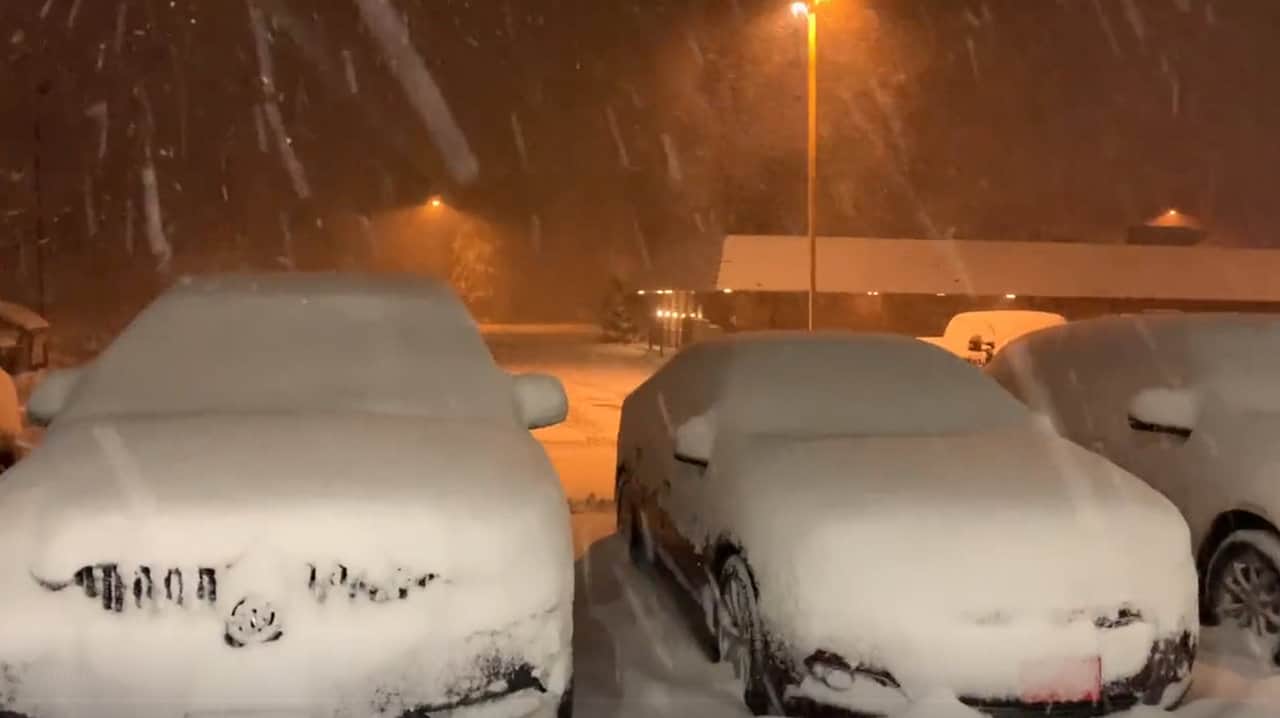 Nevicata nel Michigan, Stati Uniti. Video meteo