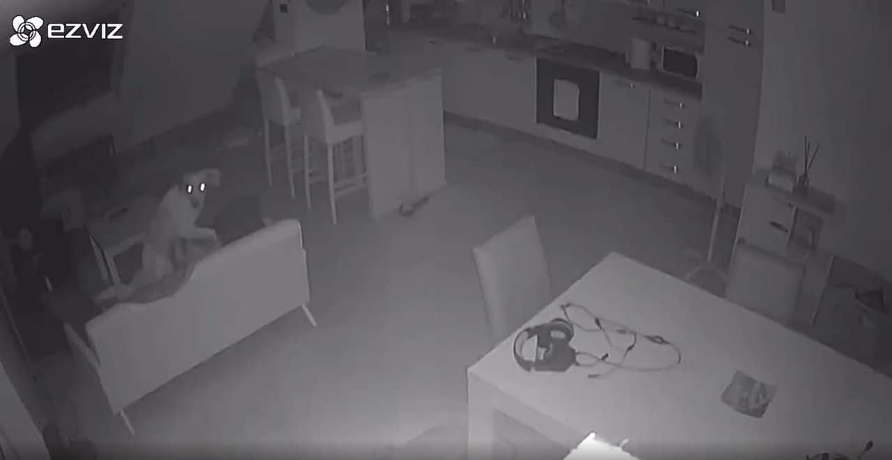 Terremoto magnitudo 4.3 a Catanzaro. Video della scossas