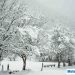Nevicate copiose nel weekend