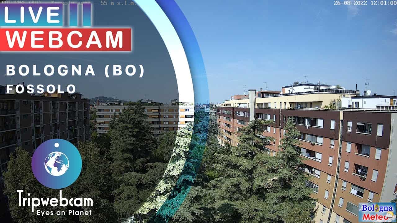 Bologna, diretta meteo: neve. Webcam