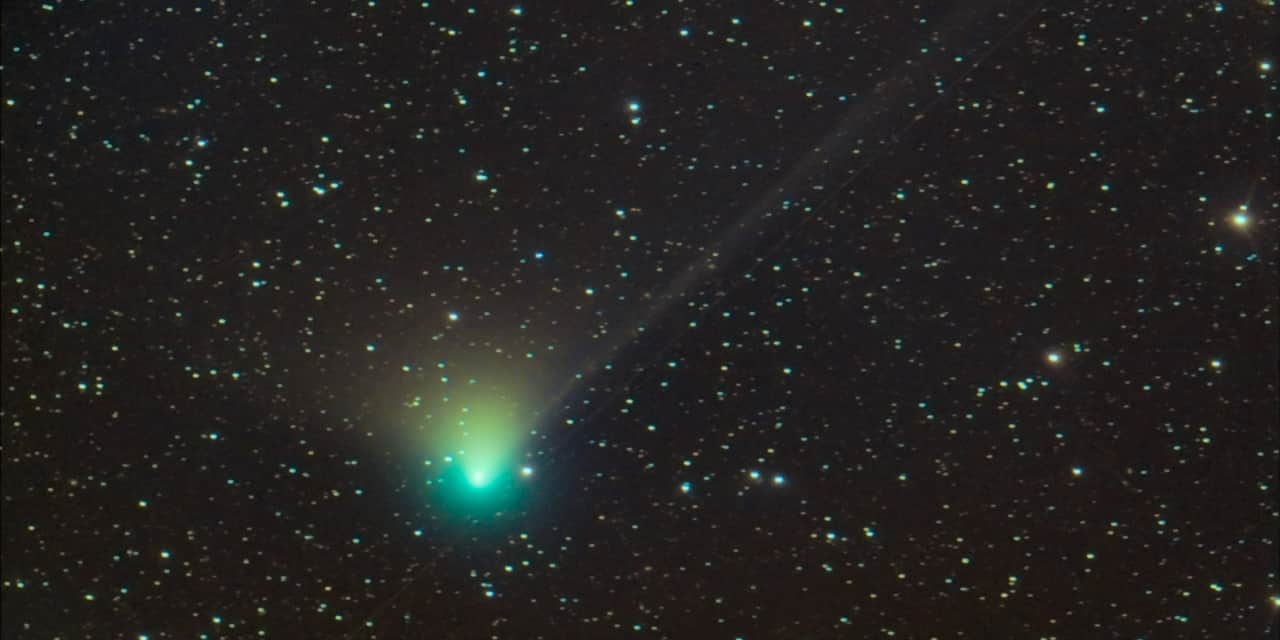 Cometa rarissima visibile in cielo dopo 50 mila anni: ecco dove cercarla