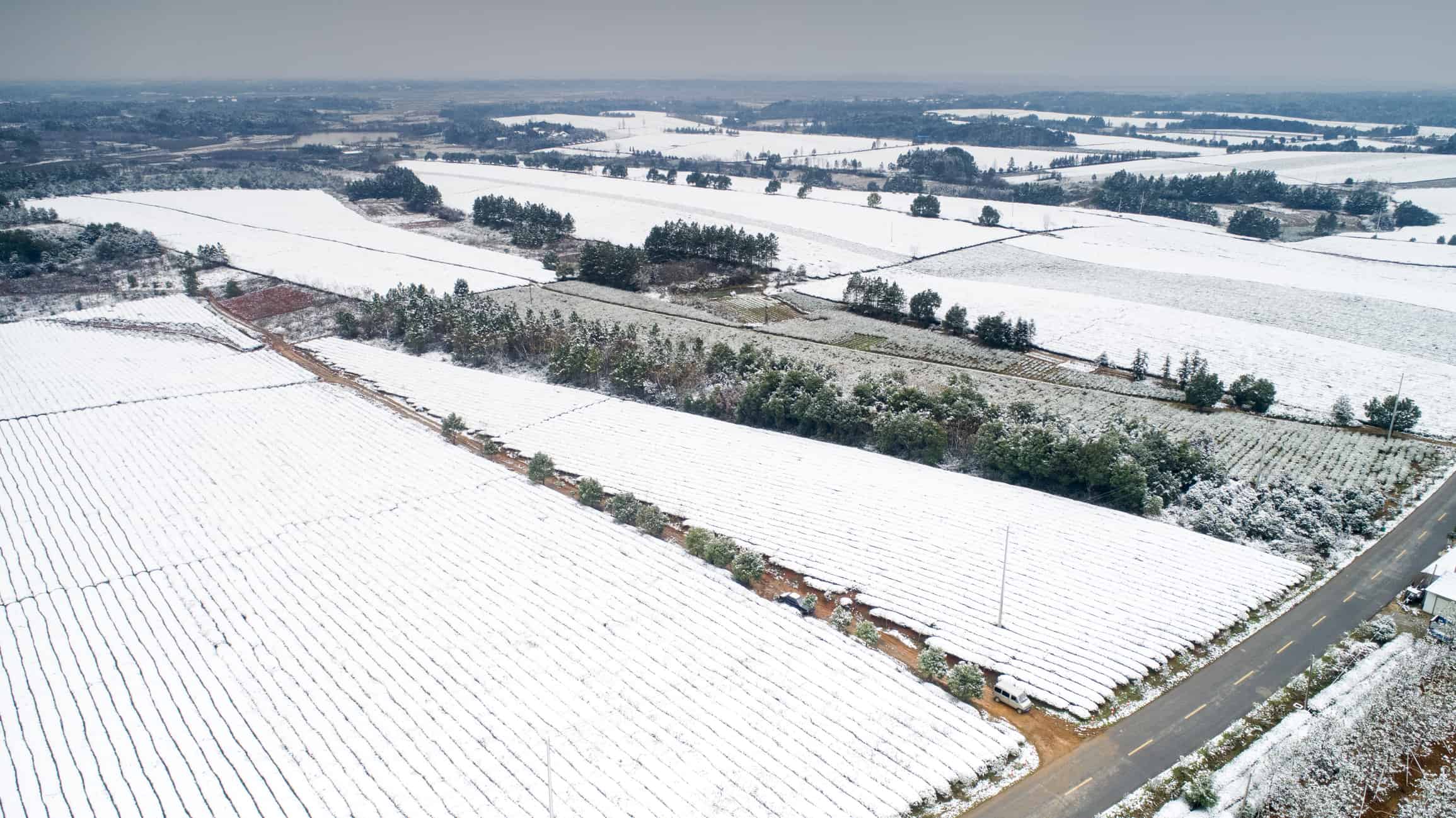 Allerta Meteo della Protezione di Emilia Romagna