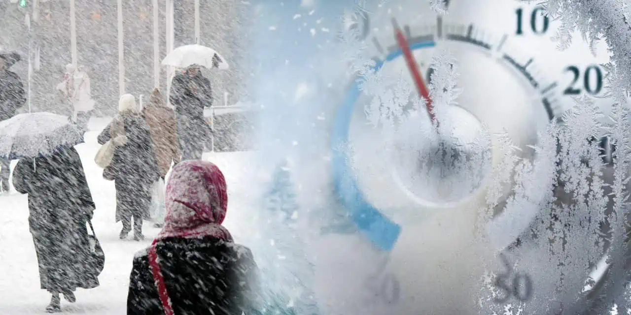 Il grande freddo del Febbraio 2012