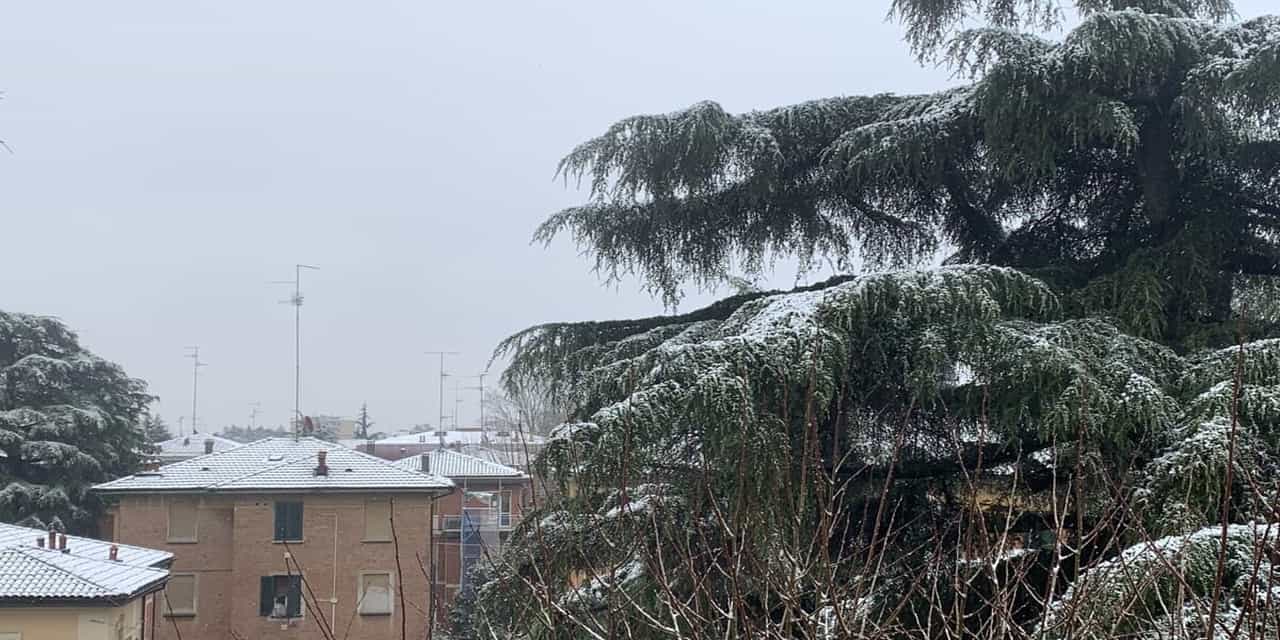 Leggera imbiancata su Bologna oggi 1° Marzo