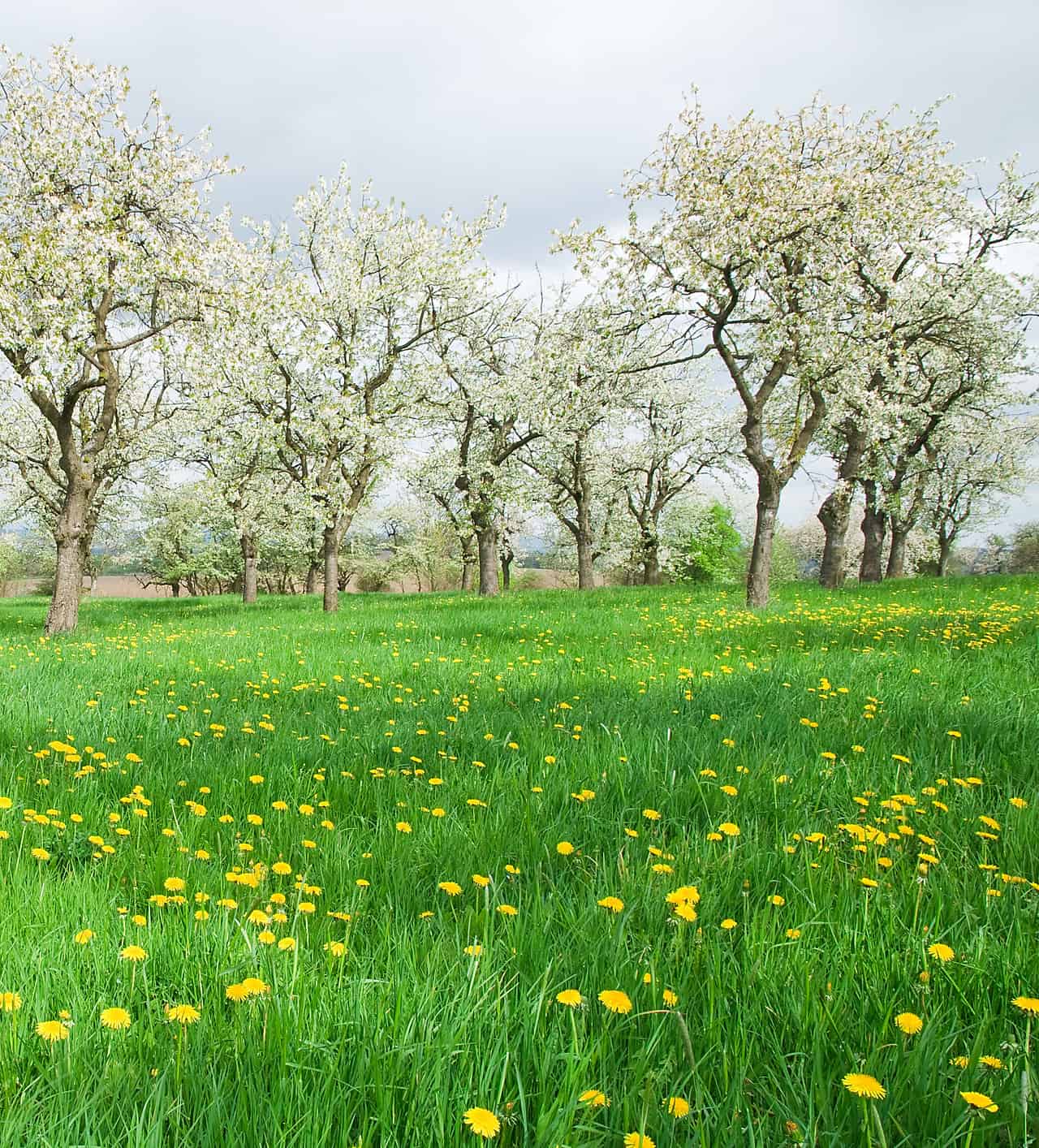 Previsioni meteo per domani 28 Marzo in Italia