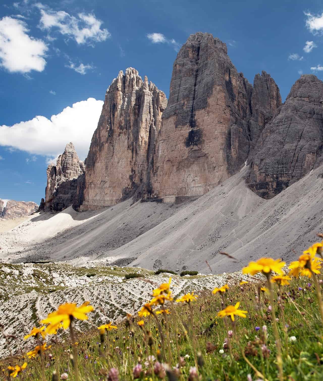 Piante sulle Alpi: migrano sempre più in alto, a causa del caldo. Lo studio