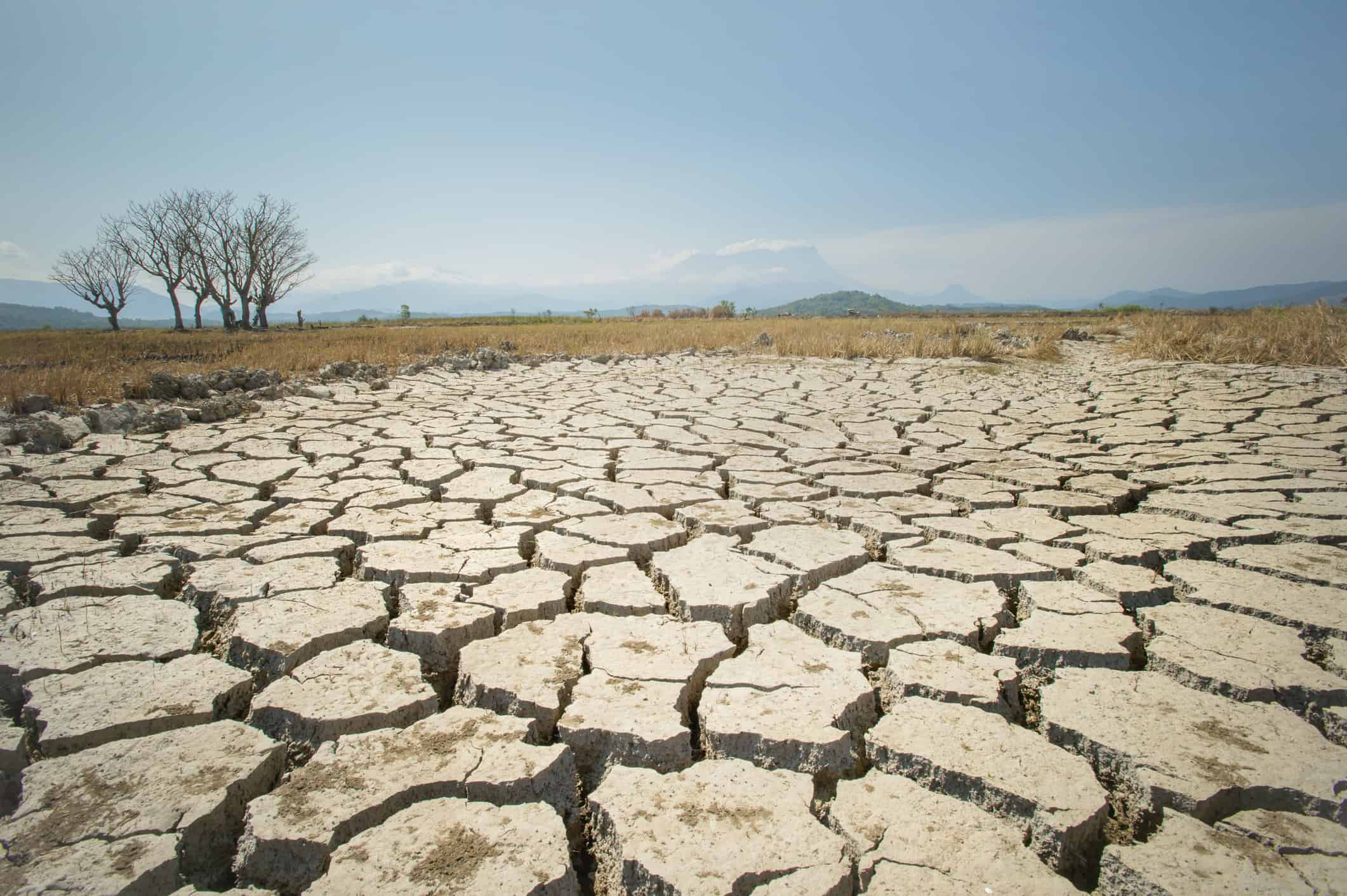 Meteo: Inverno francese mite ed eccezionalmente siccitoso