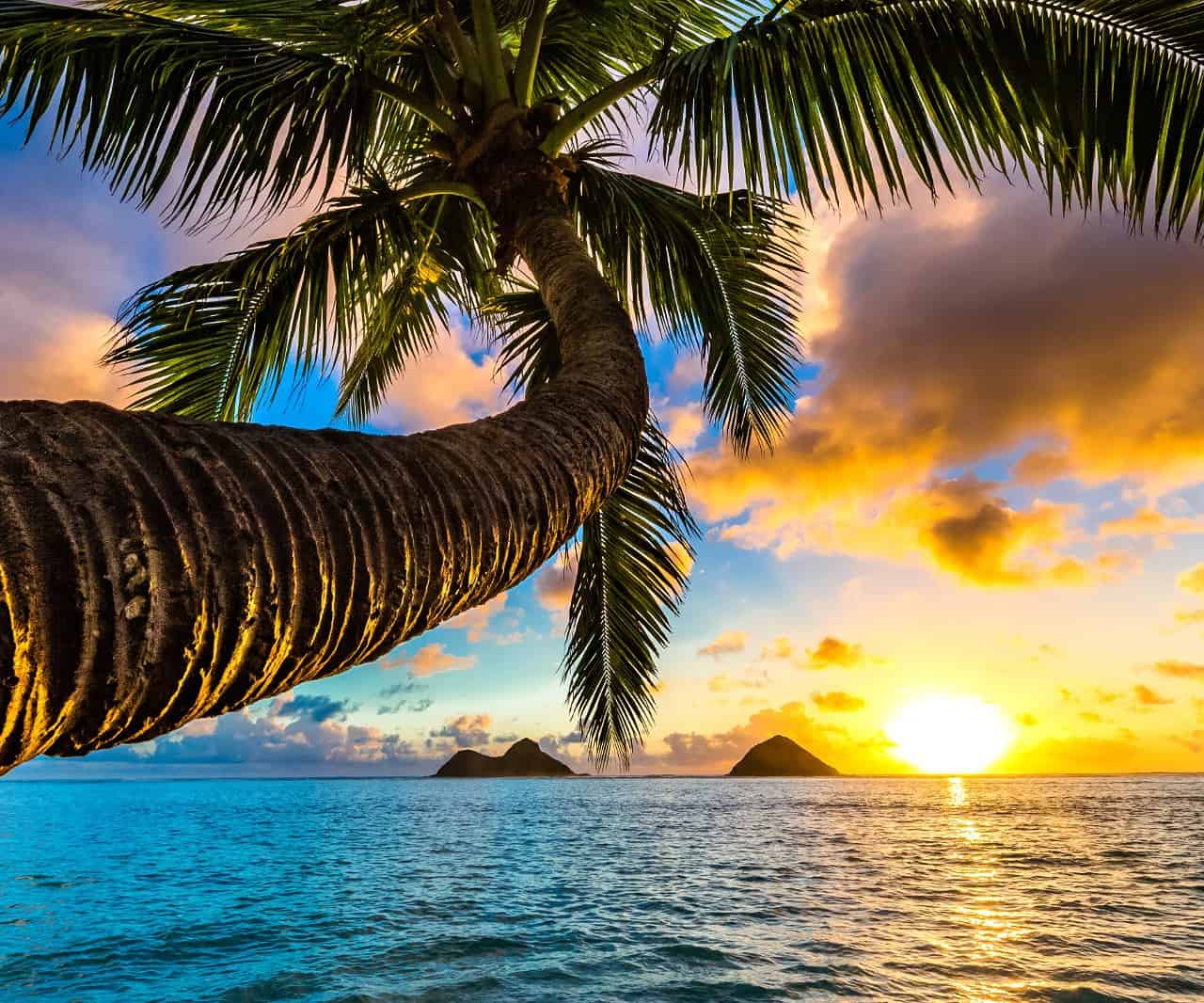 Hawaii: tra paradisiache spiagge, Vulcani, prelibatezze locali e clima tropicale tutto l’anno