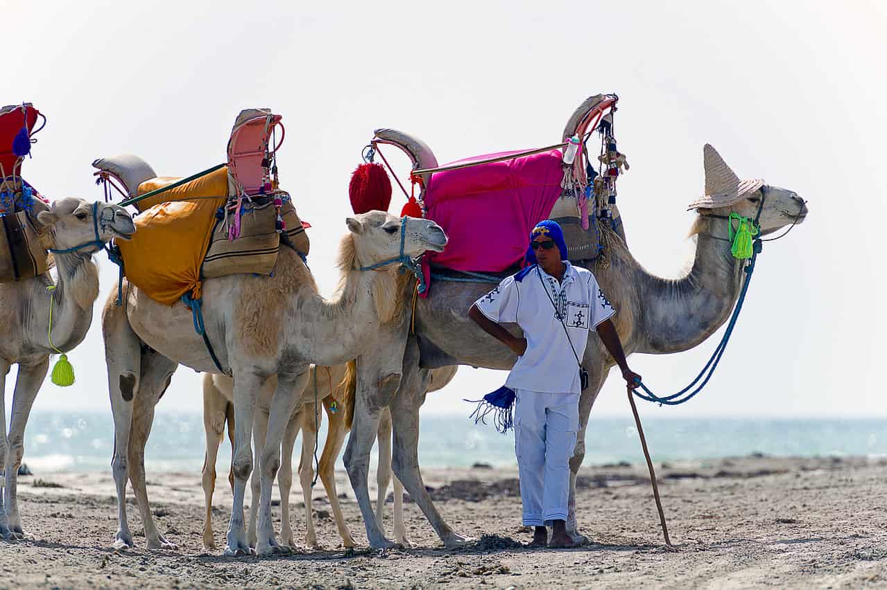 Viaggio in Tunisia: scopriamo la terra del nord Africa 1 dreamstime m 145779262