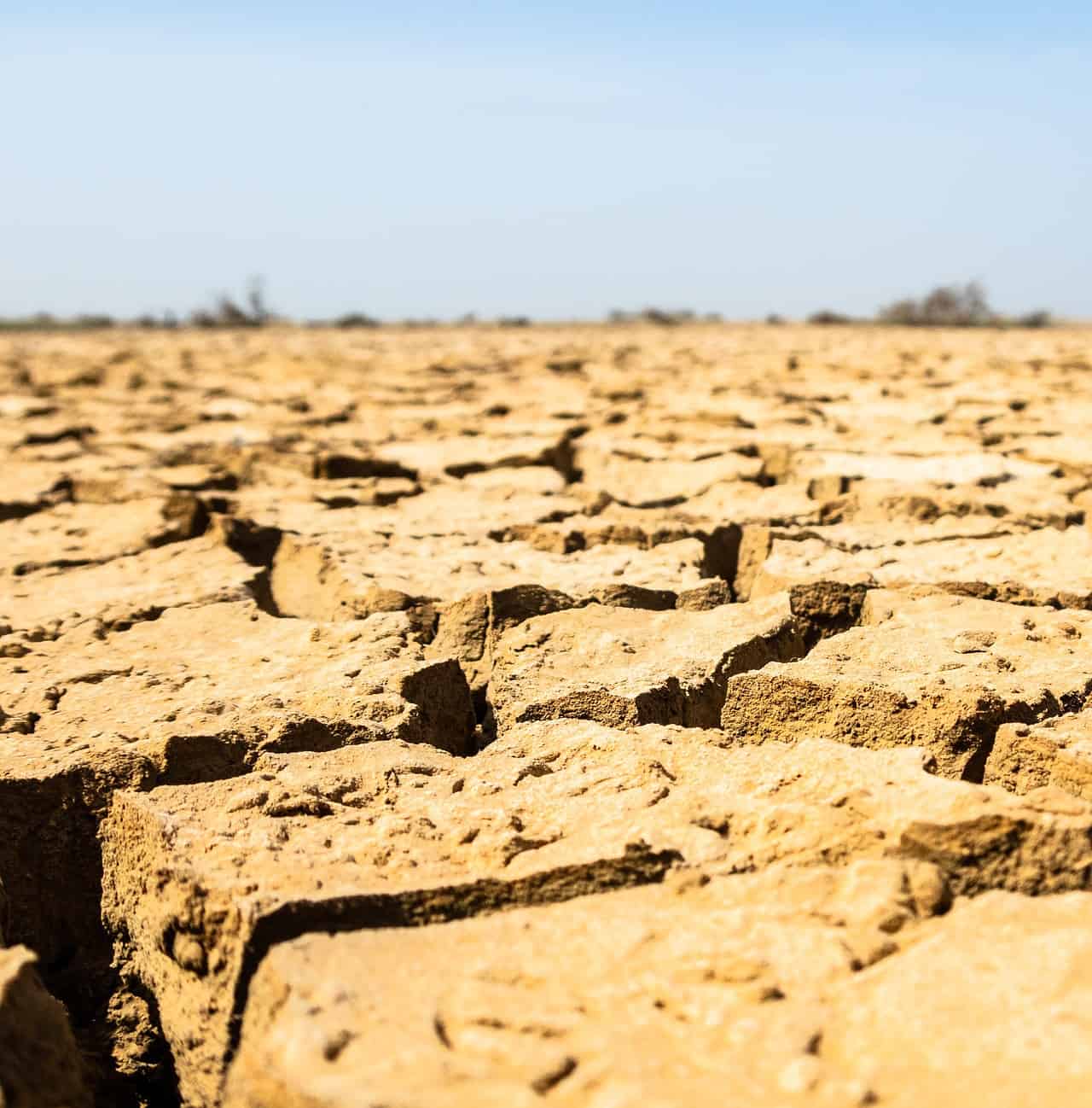 Siccità: malavita e guerre in futuro per la mancanza d’acqua!