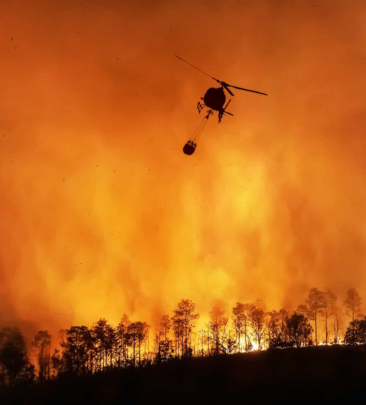 Incendi: Pessime notizie, sempre più frequenti e distruttivi!