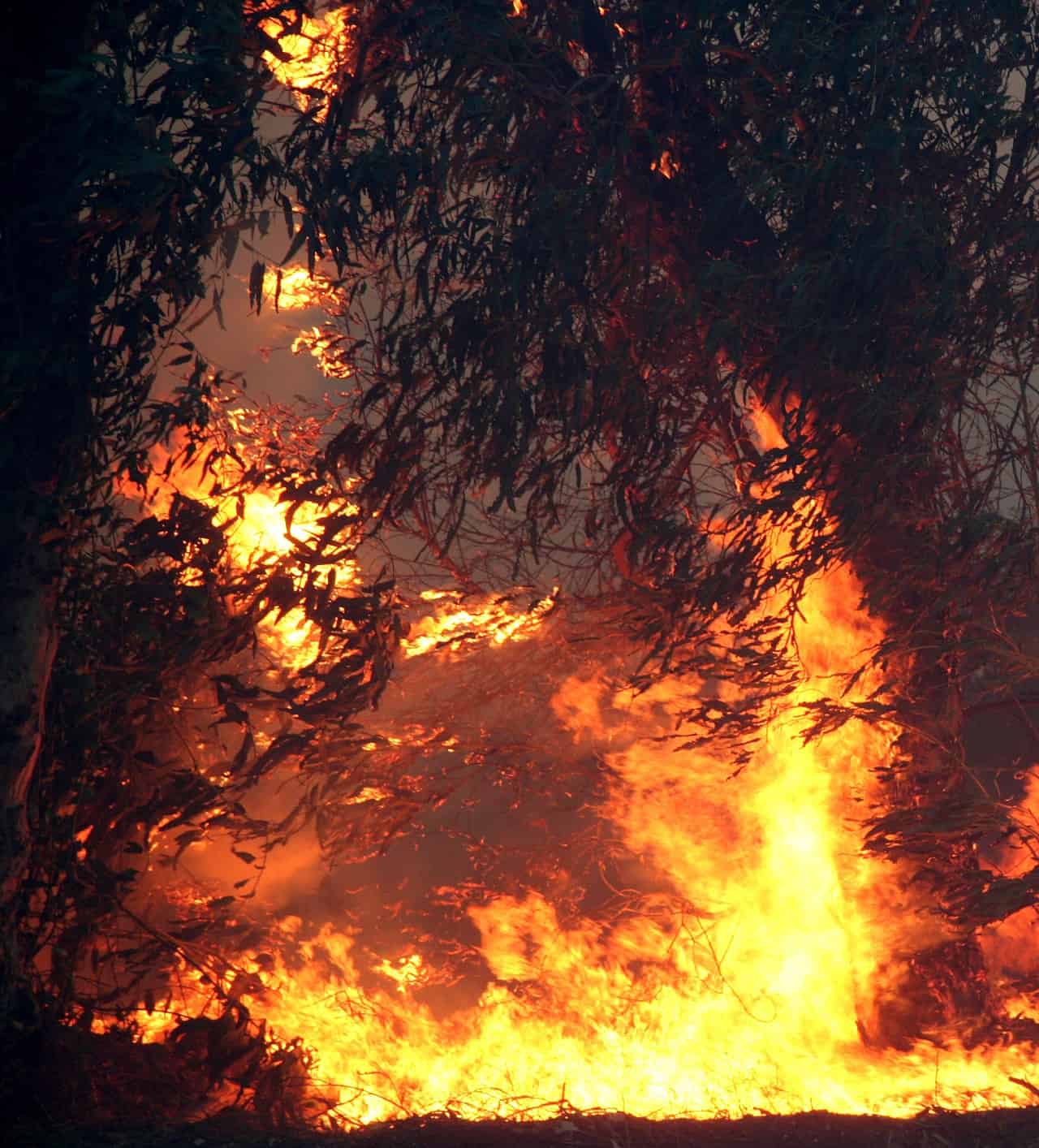 Esistono incendi "benevoli