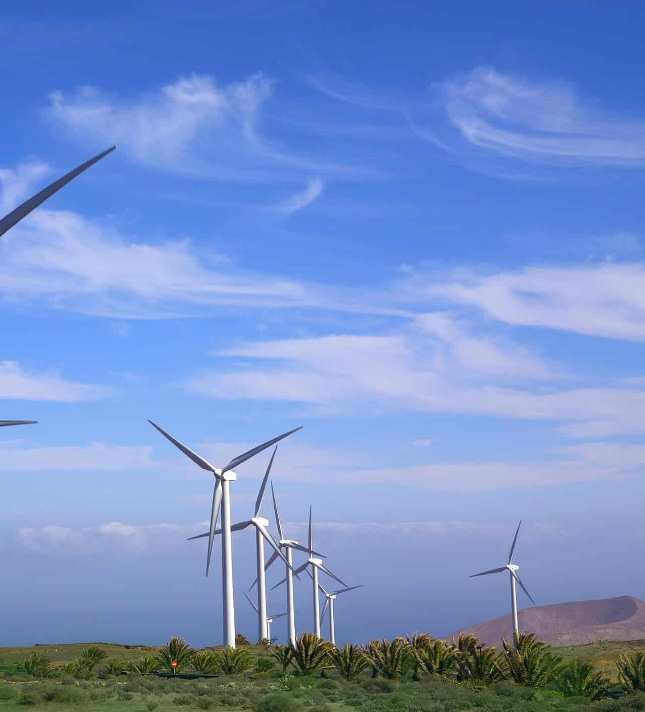 Energia Eolica: soluzione efficiente o problematica?