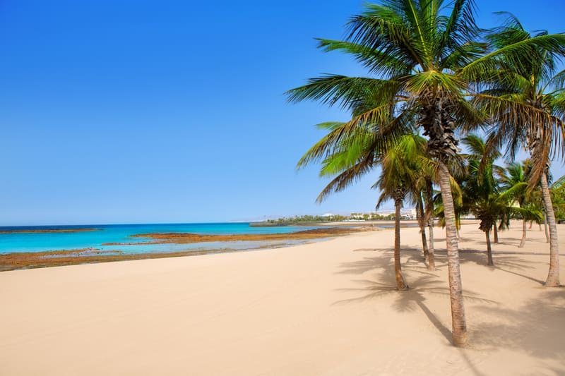 Viaggio a Lanzarote, fantastica isola delle Canarie 2 dreamstime s 26597327
