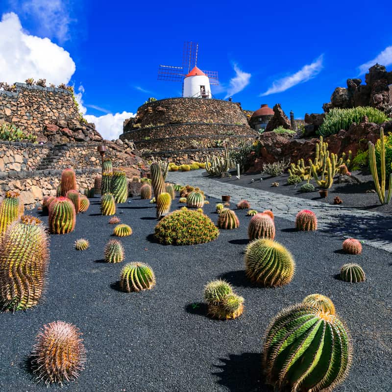 Viaggio a Lanzarote, fantastica isola delle Canarie 4 dreamstime s 86161205