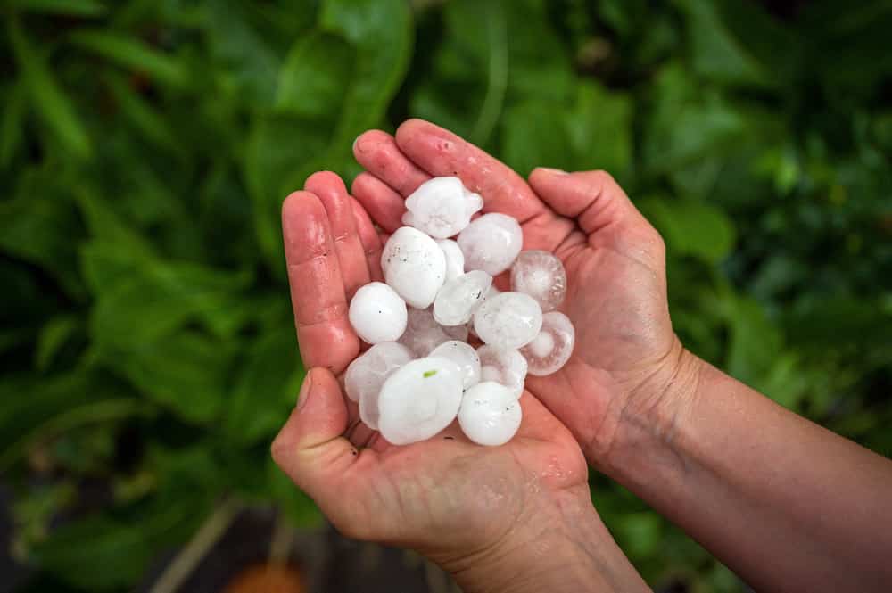 METEO: forti piogge e grandinate eccezionali in Arabia Saudita
