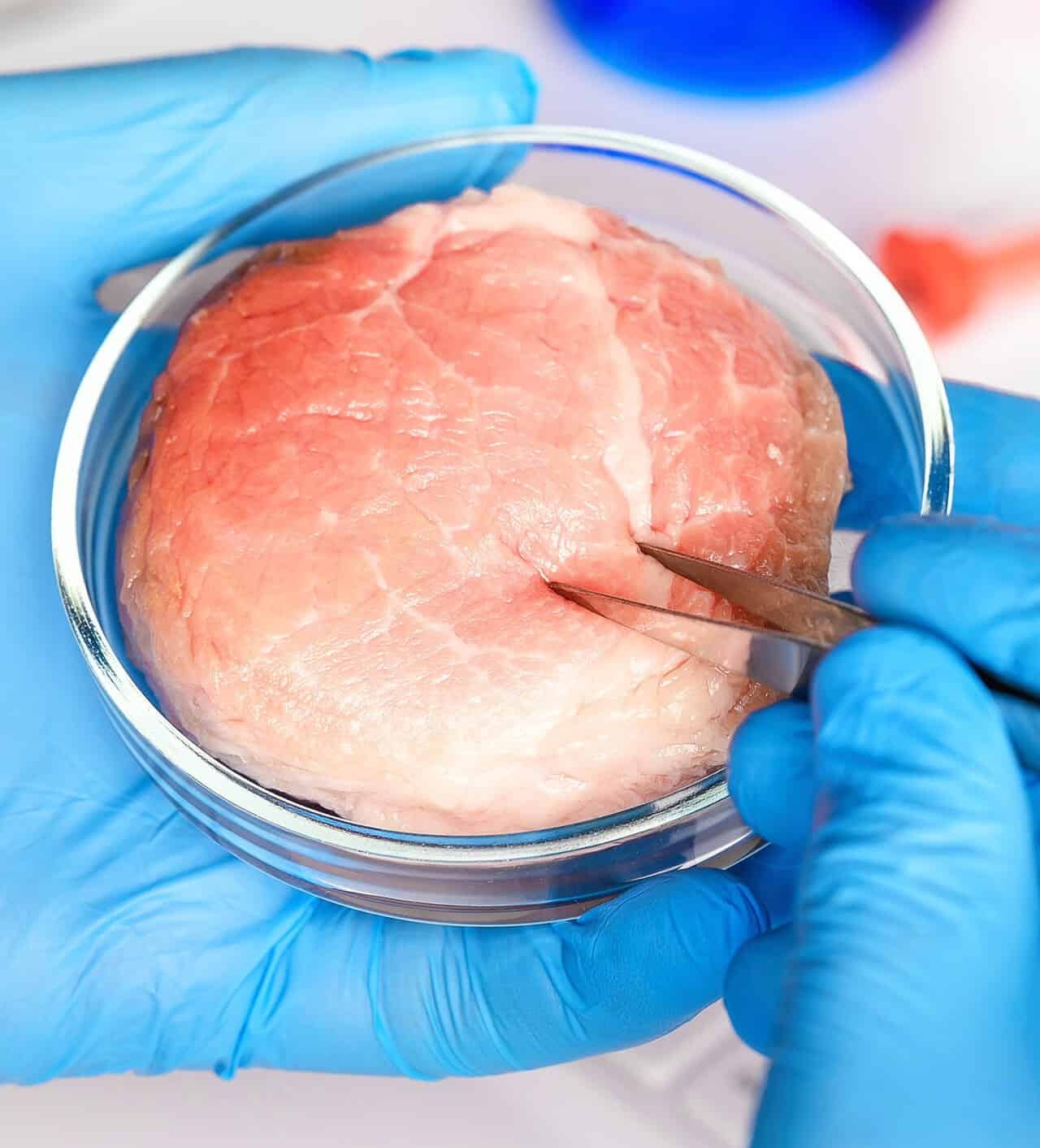 Carne sintetica: soluzione o problema?