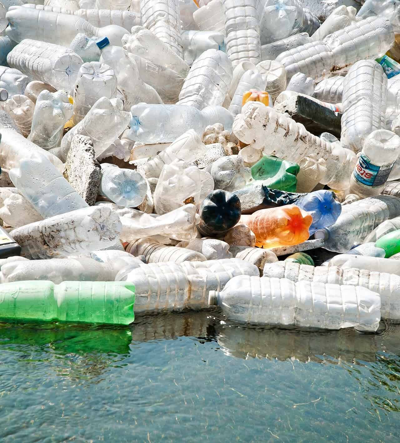 Plastisfera: un neologismo che indica una cosa tremenda. Ecco quale