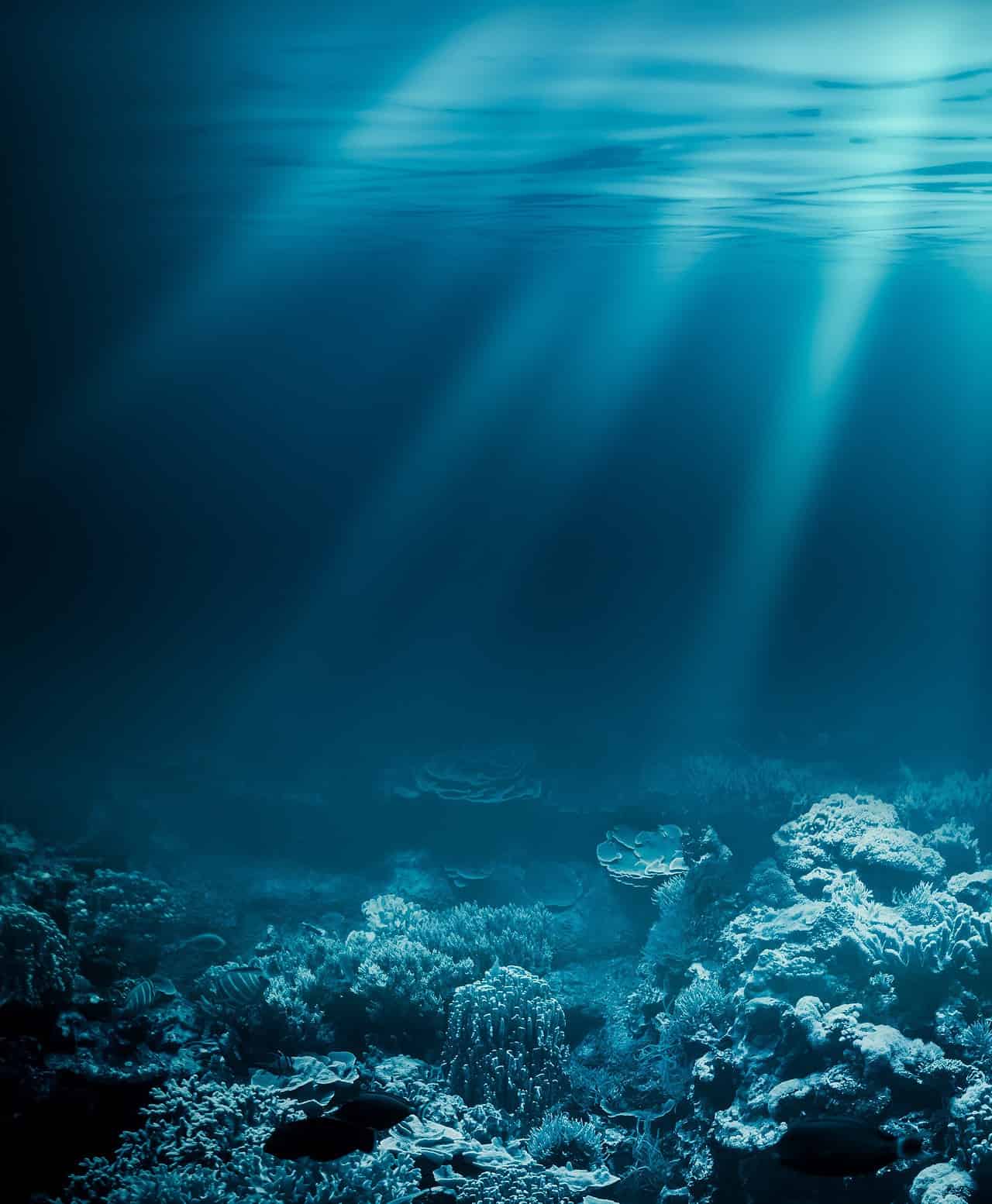 Cambiamenti climatici dell’Oceano: un disastro sconosciuto e latente