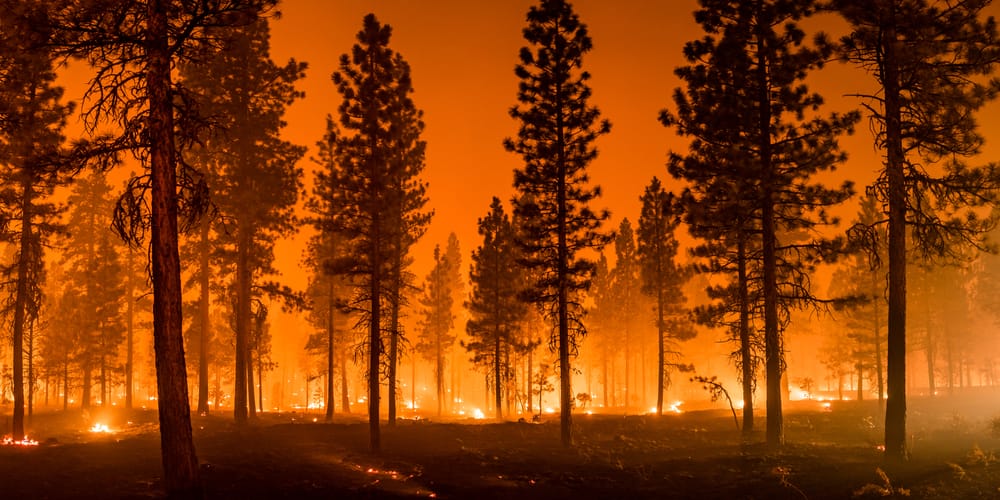 METEO: gran caldo ed incendi in Canada, freddo in Alaska