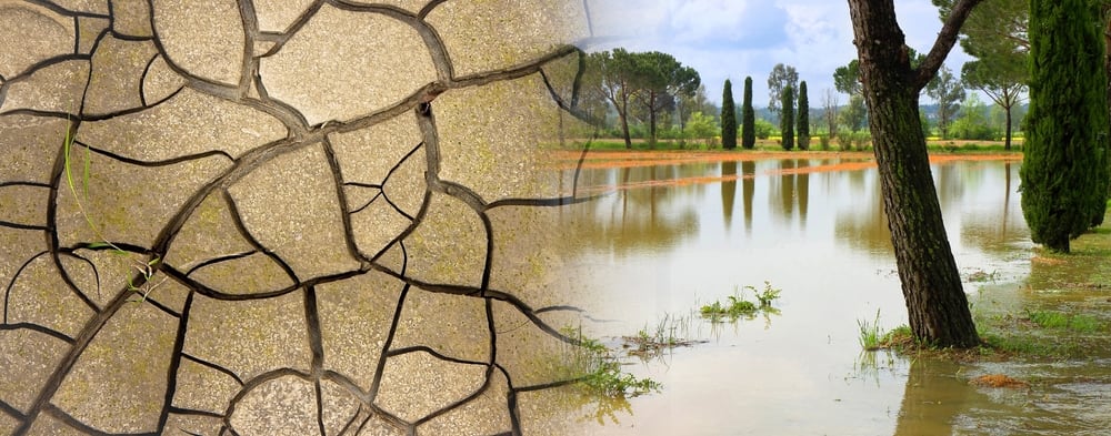 EMILIA ROMAGNA, una tragedia annunciata. Alluvione prevedibile dalle previsioni meteo
