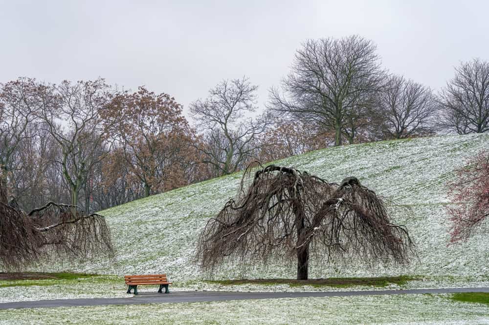 Meteo Italia, sentiremo freddo. Ma per ora non sarà come il 2019 con neve a quote basse