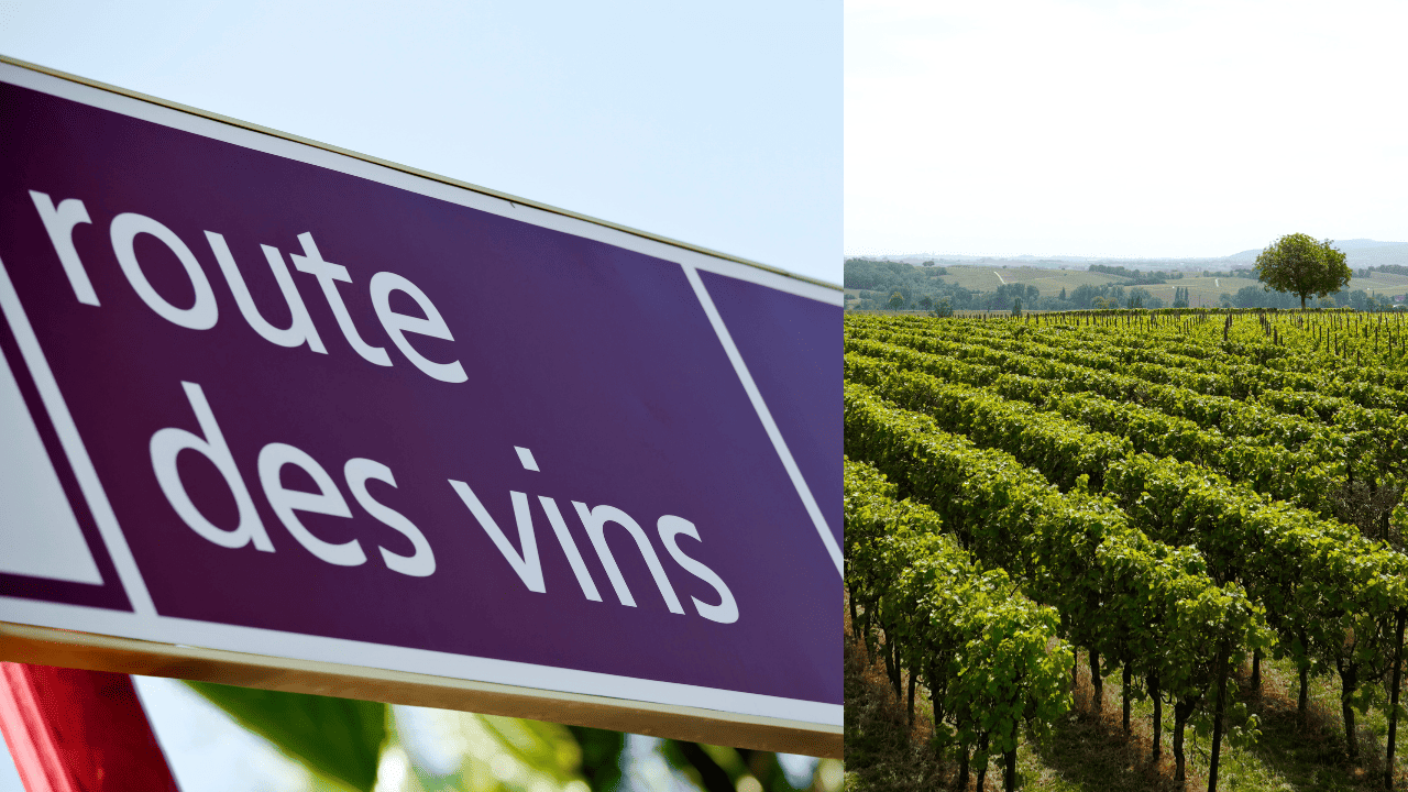 Scoprire l’incanto Vinicola dell’Alsazia: Guida al Viaggio della  Route des Vins, la Strada del Vino