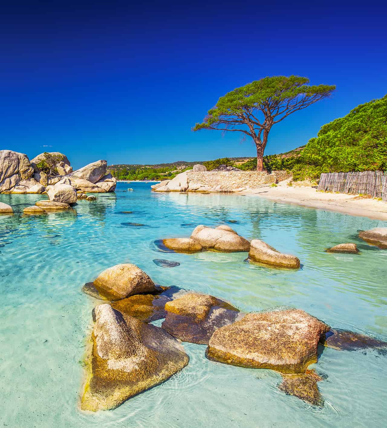 Suggerimenti su cosa visitare in Corsica: spiagge, destinazioni e percorsi turistici