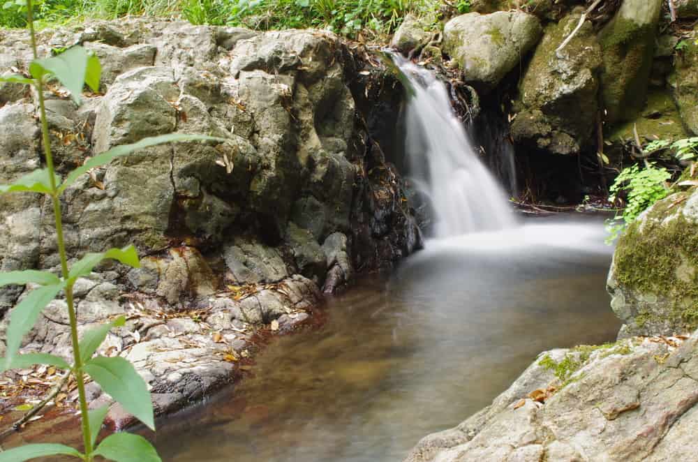 Scopriamo l’Amazzonia dell’Alto Lazio: le ragioni per cui dovresti visitarla