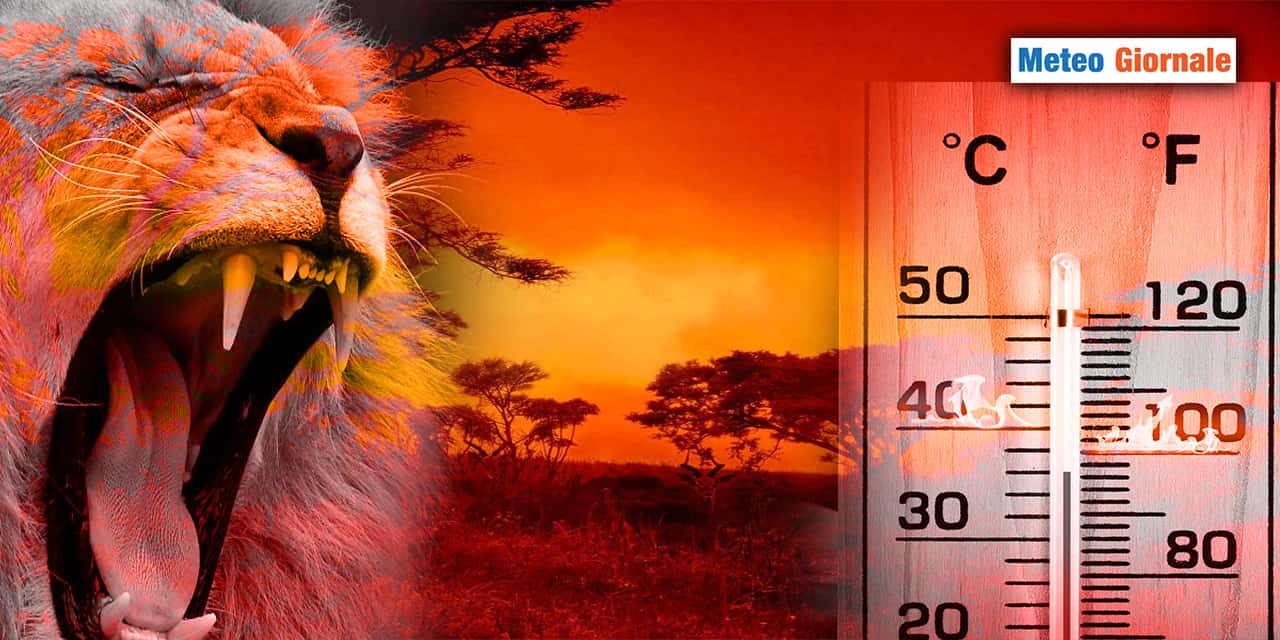 Il METEO d’Africa porterà altri record di caldo