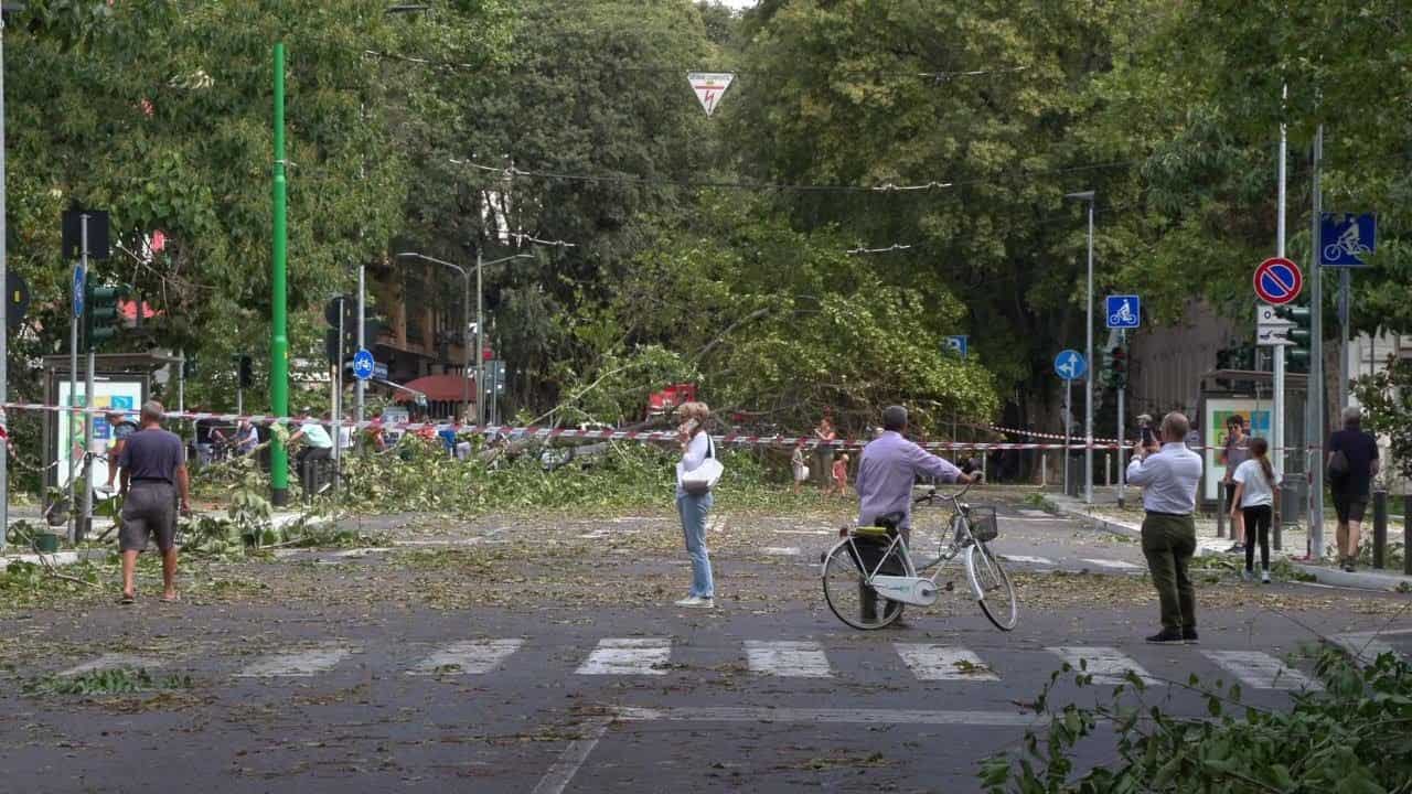 Meteo Milano, bel tempo. Ma situazione critica per centinaia di alberi secolari abbattuti