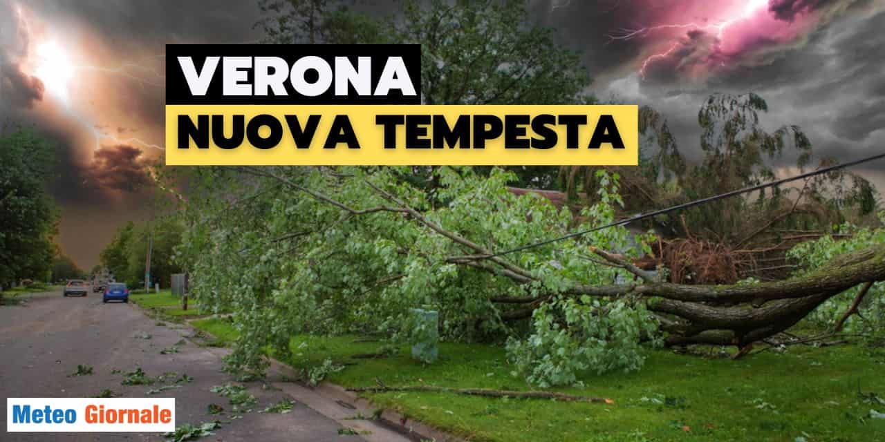 Verona sotto assedio: tempesta estiva crea caos e danni estesi